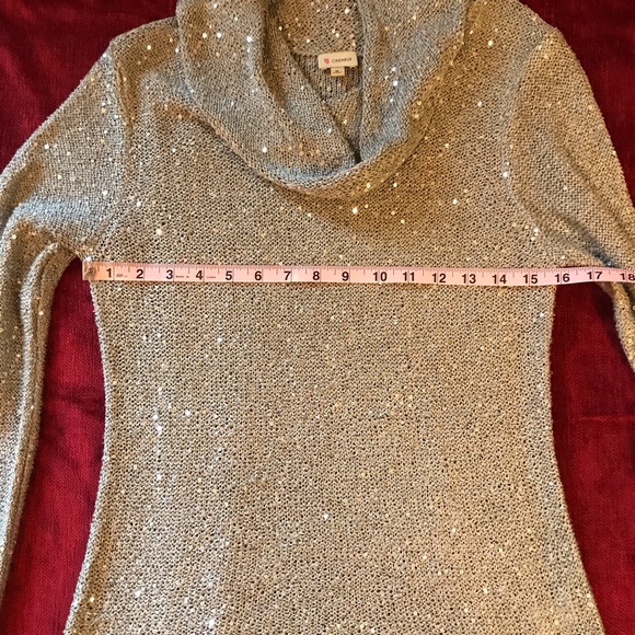 Sparkling Silver Cremieux Sweater - Picture 7 of 7